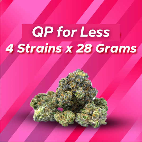 Carly’s QP For Less
