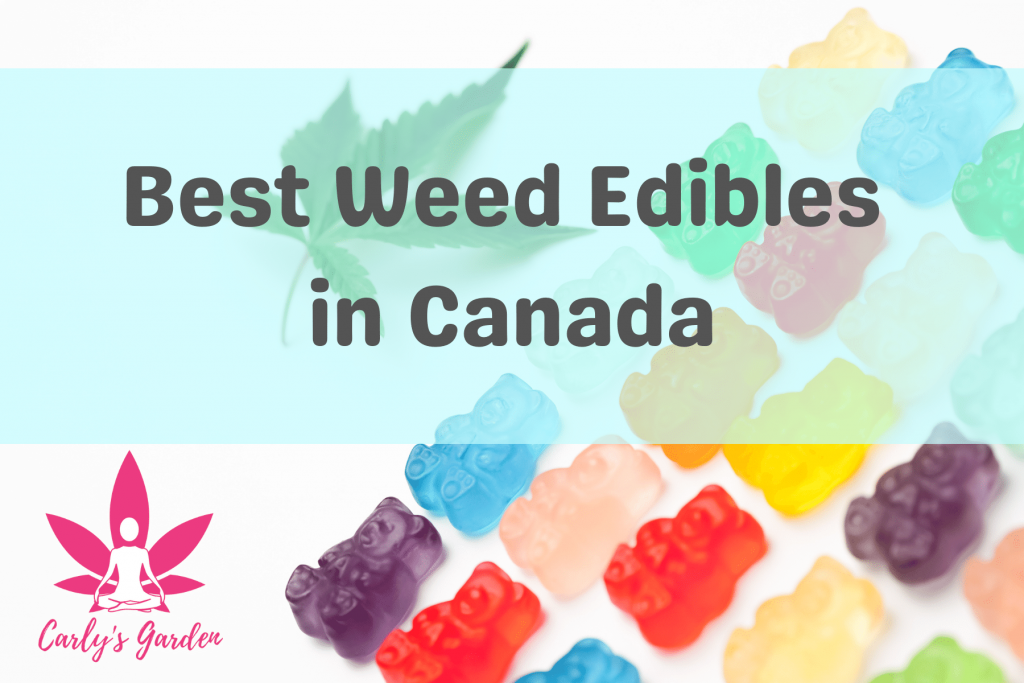 Best Weed Edibles in Canada